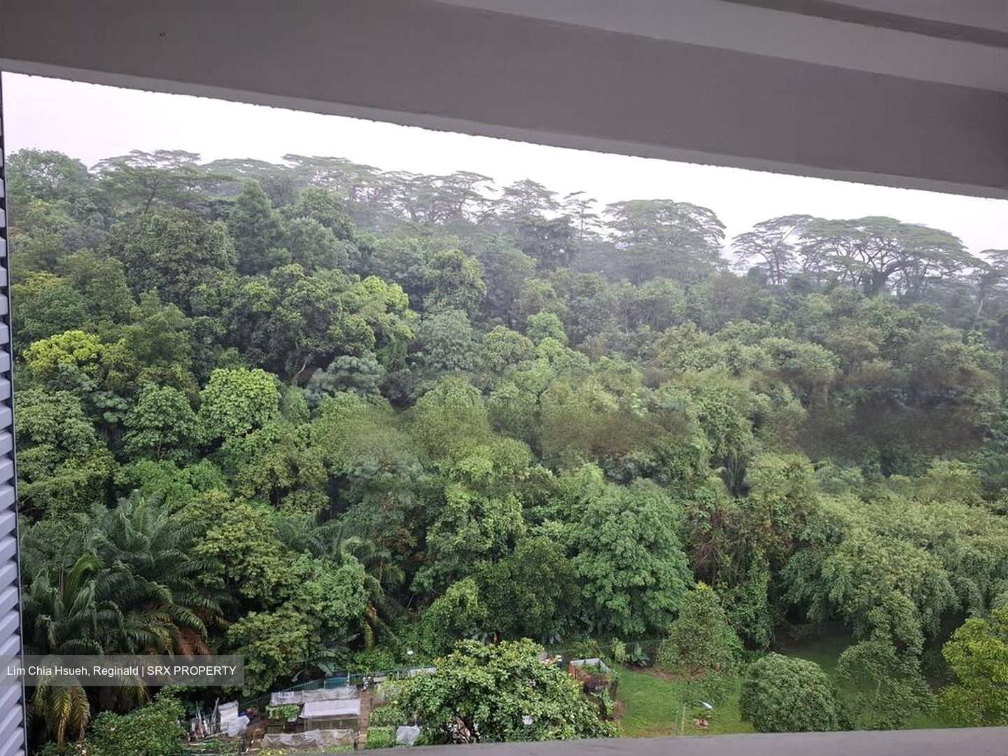 Blk 118 Sunset Way Residence (Clementi), HDB 4 Rooms #459674451